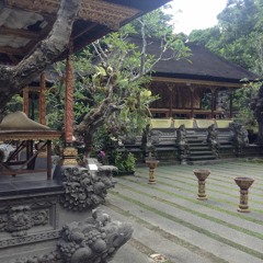 Trip to Bali