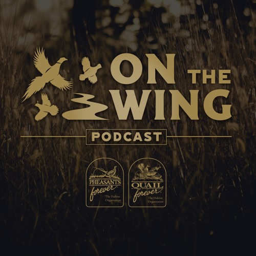 Stream Ep. 47 Ron Boehme of The Hunting Dog Podcast talks birds