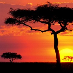 Sunset In The Village (Prod By Happi)| BeatDiaryEntry1