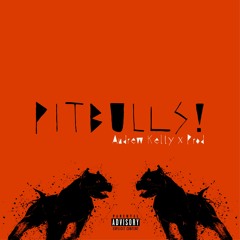 PITBULLS feat. Prod (prod. Renny)