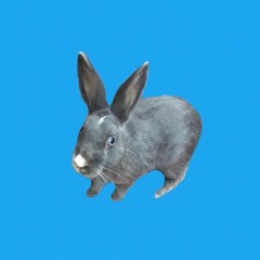 Hold On (prod. ScapeMadeThis)