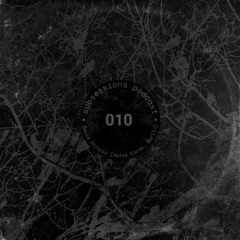 Subsessions 010: David Gtronic