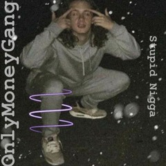 Stupid Nigga (feat. D$D1)