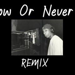 Now Or Never(Remix)(Originally Performed by Big L)