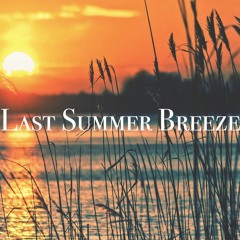 "Last Summer Breeze" (prod. MEEKS!)| Free Nujabes x WondaGurl Type Beat