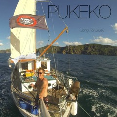 Song For Louey (Live)