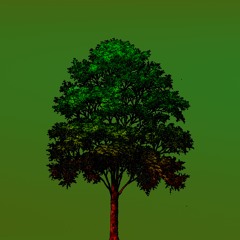 Why This Kolaveri Di