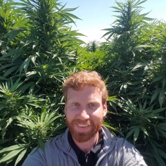 Cannabinoids in Clinical Practice - Mike Hennesy