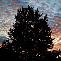 a f t e r m a t h - lofi