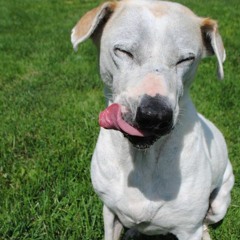 Oliver - Serious Business