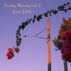 Sunday Morning Vol. 5