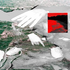 Synthetic Beach Life