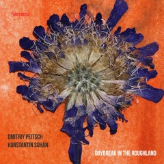 Dmitriy Peitsch, Konstantin Suhan - Far Flung Carpet Magic