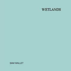 Sam Mallet - Wetlands (MP006/RD01)