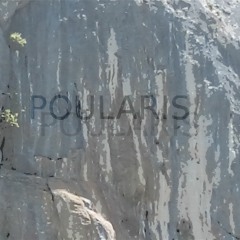Poularis