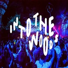 Radio Slave @ Into The Woods 14.09.2019