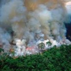 Amazonia Burn by Selecta Mic Havana (Version Radio Edit)