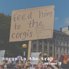 Corgs in the Trap #8
