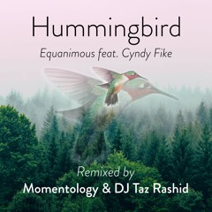 Equanimous - Hummingbird (Momentology & DJ Taz Rashid Remix) feat. Cyndy Fike