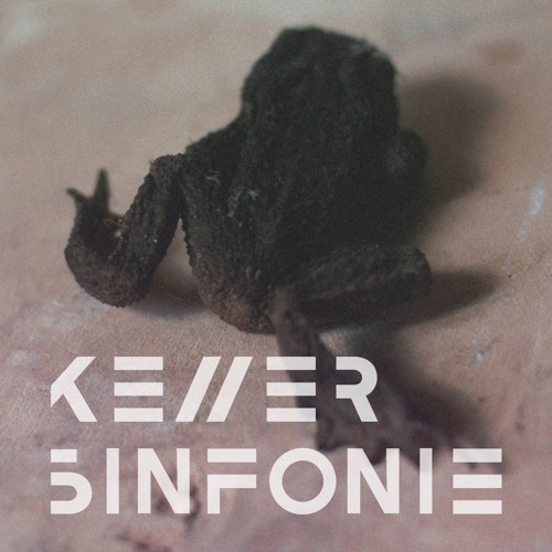 Kellersinfonie °19 - m ë x