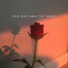 Dạo này anh thế nào?