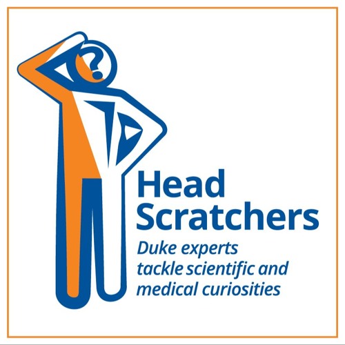 HeadScratchers
