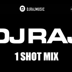 DJ RAJ Ft. Various Artist - 1 Shot Mix