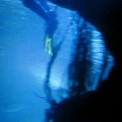 Thanking The Light For The Fright