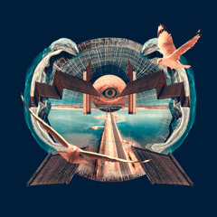 Premiere: Taavi Tuisk - Seagulls [Depth]