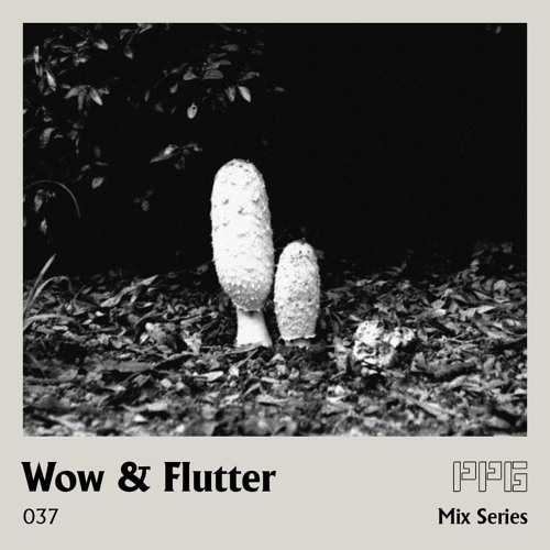 PPGMIX037 | Wow & Flutter