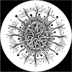 Premiere: Ivan Szew - Melian (MindTrip)