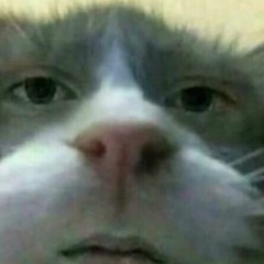 Linkin Park's Given Up Guitar Cover But It's -1 Octave Because SoundCloud Won't Let Me Upload It