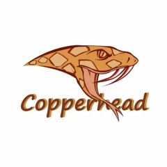 Wobble - Copperhead (KING OF BEATS SONG CONTEST)