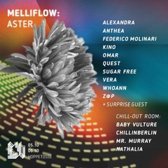 Mr. Murray - Melliflow:Aster @ Hoppetosse