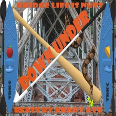 Bridge Life Is Nuts (Down Under)