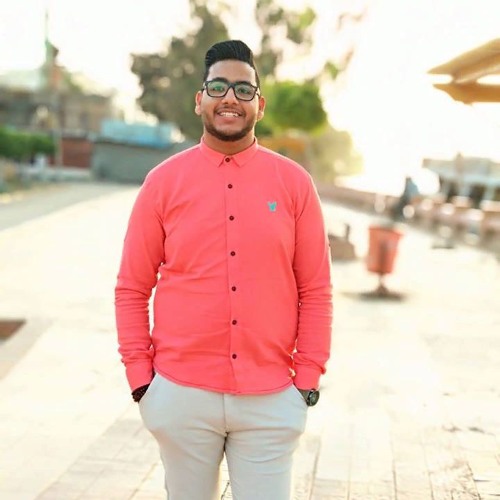 مزمار عبسلام 2019  مزمار ثورة السلامات|عبسلام والسيد حسن