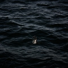 Sebastian Eric - Afirmatii