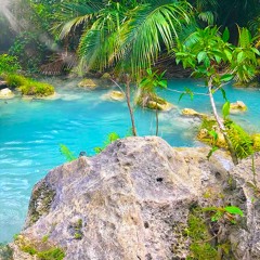 Barbados prod. noah