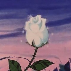 tóy tóy t-rex || r&bsr&b$(slowed + reverb)