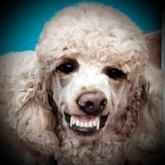 Who's Who? (prod. Level) Vinnie X Bcurlz X Swol X Cs