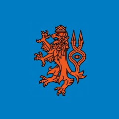 𝖜𝖗𝖔𝖓𝖌 𝖛𝖔𝖎𝖈𝖊𝖘