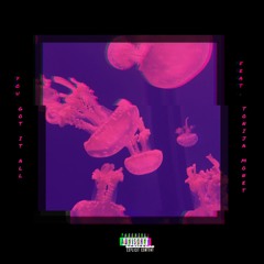 You Got It All (feat. Tonija Monet)