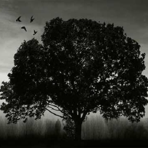 DnB_Playlist_ToWorkWith_Jan1st2025