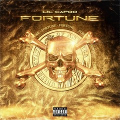 Fortune (Prod.ilovechris)