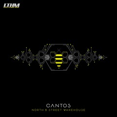 Cantos - On The Floor (Original Mix)