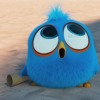 The Angry Birds Movie 2Full movie ENGLISH SUBTITLES