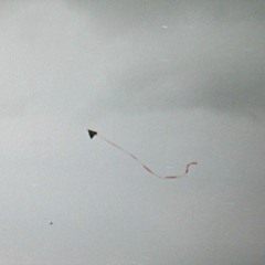 Flying Kites