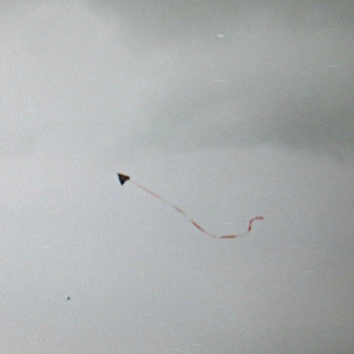Flying Kites