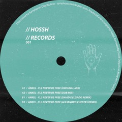 I'll Never Be free (David Delgado Rmx)