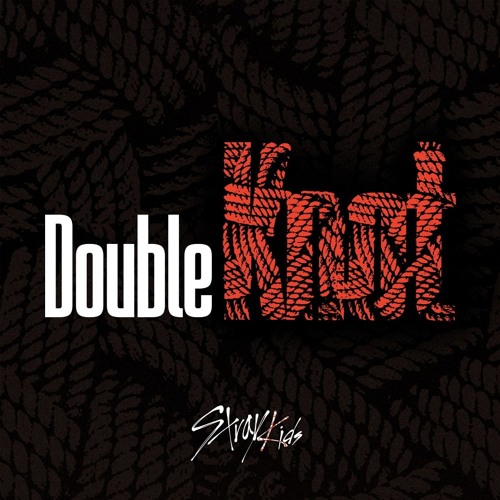 Stray Kids - Double Knot by L2Share♫89